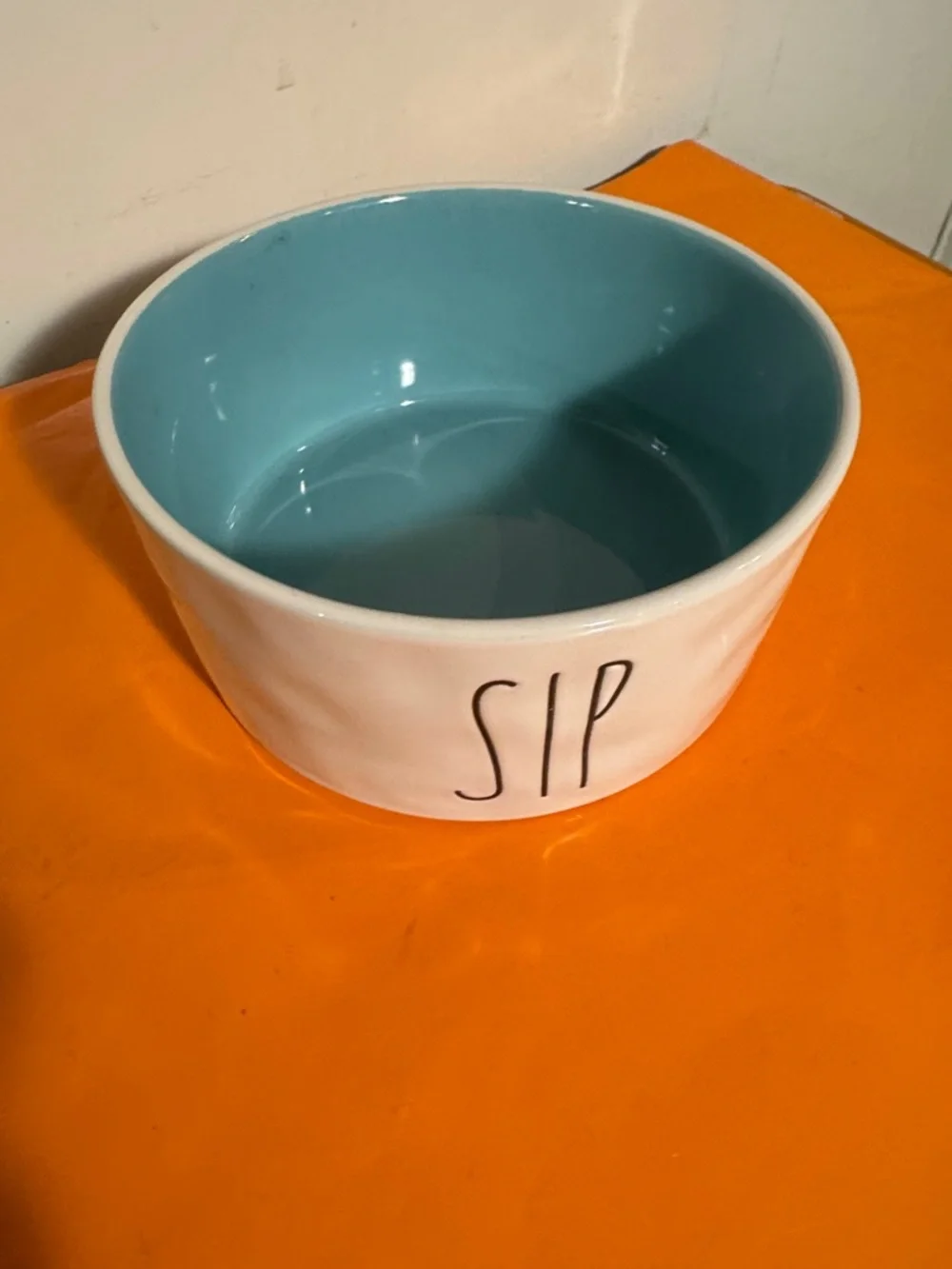 Rae Dunn White Ceramic Pet Bowl